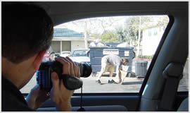 Private Detective and Investigators in London